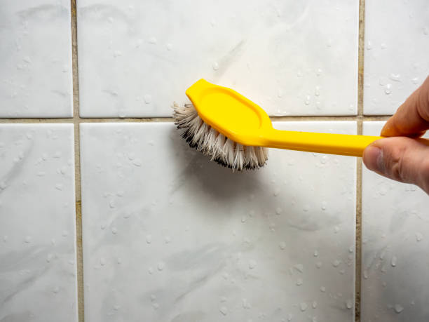 Best Black Mold Removal  in Mount Olive, NC
