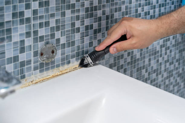 Mount Olive, NC Mold Removal Company